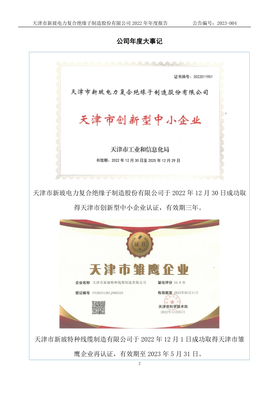 831892_2022_新玻电力_2022年年度报告_2023-04-18.pdf_第2页