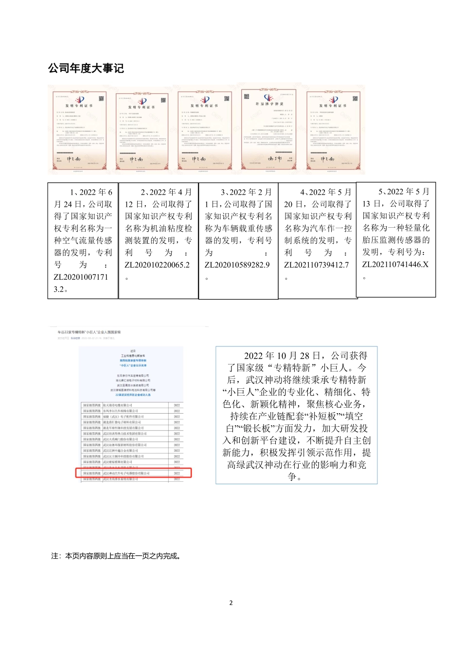 838214_2022_武汉神动_2022年年度报告_2023-04-25.pdf_第2页