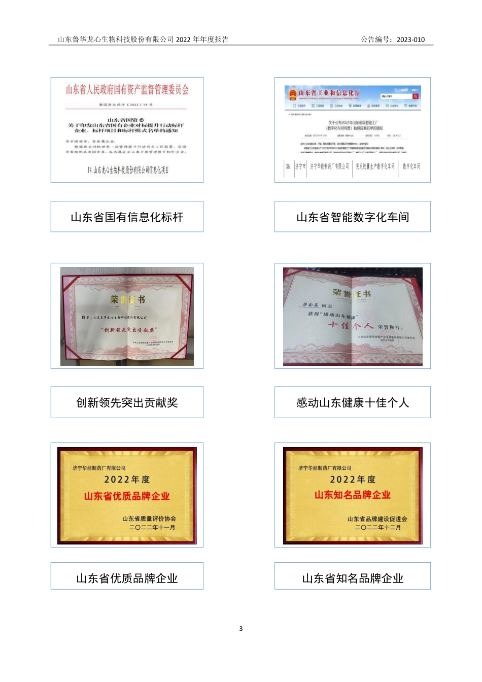 838875_2022_龙心生物_2022年年度报告_2023-04-11.pdf_第3页