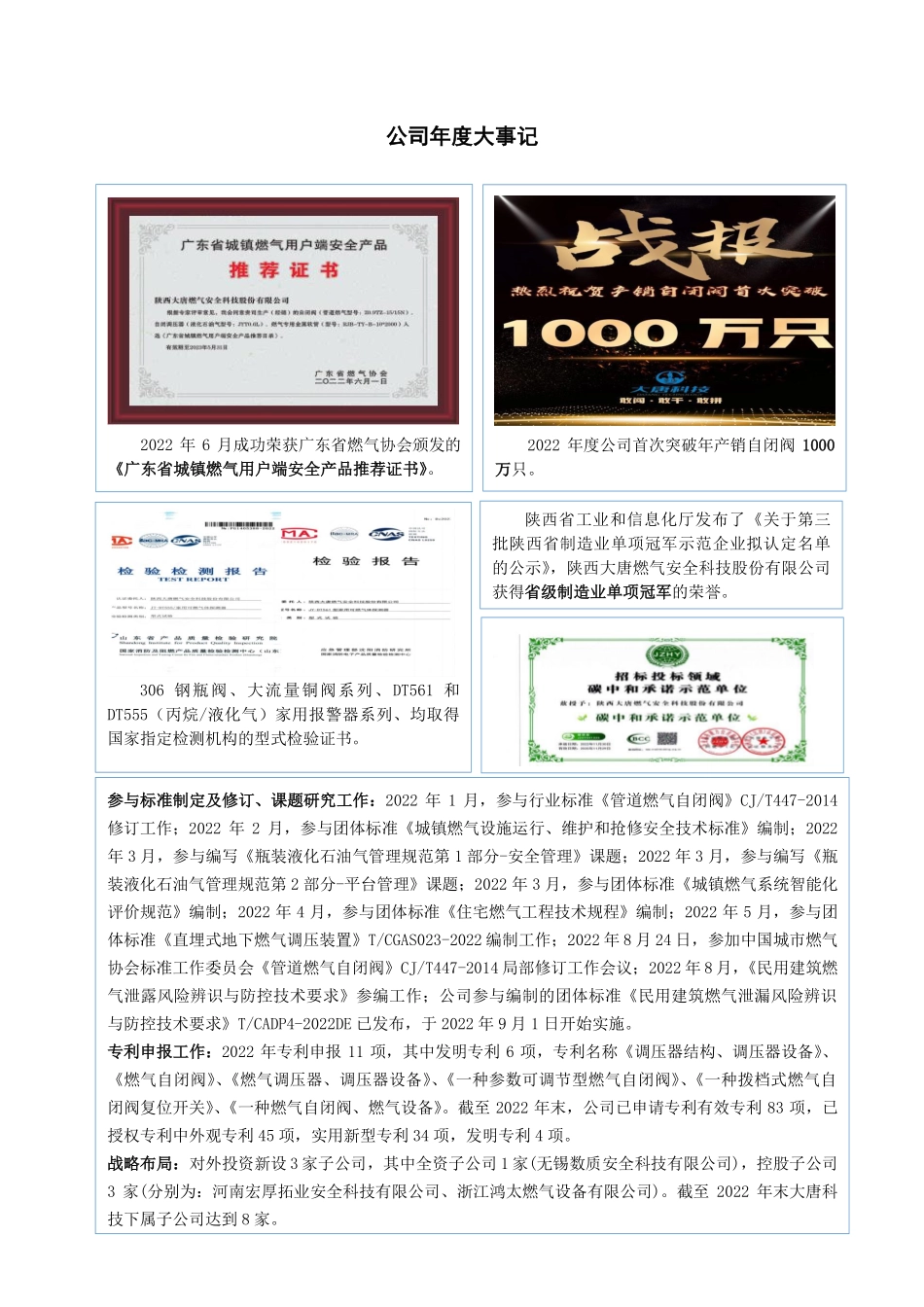 838593_2022_大唐科技_2022年年度报告_2023-04-27.pdf_第2页