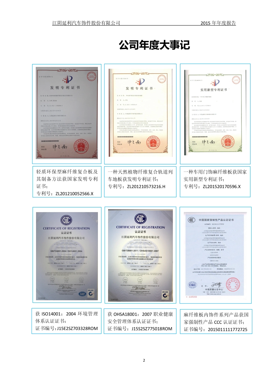 831867_2015_延利饰件_2015年年度报告_2016-03-31.pdf_第2页