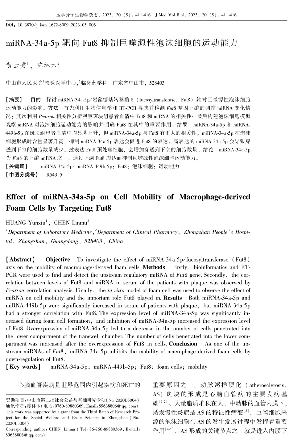 miRNA-34a-5p靶向Fut8抑制巨噬源性泡沫细胞的运动能力.pdf_第1页