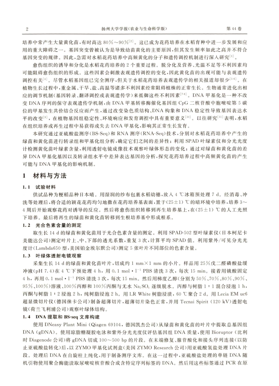 DNA甲基化对水稻花药培养过程中黄化的影响.pdf_第2页
