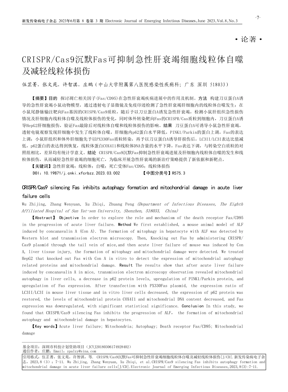 CRISPR_Cas9沉默Fas可抑制急性肝衰竭细胞线粒体自噬及减轻线粒体损伤.pdf_第1页