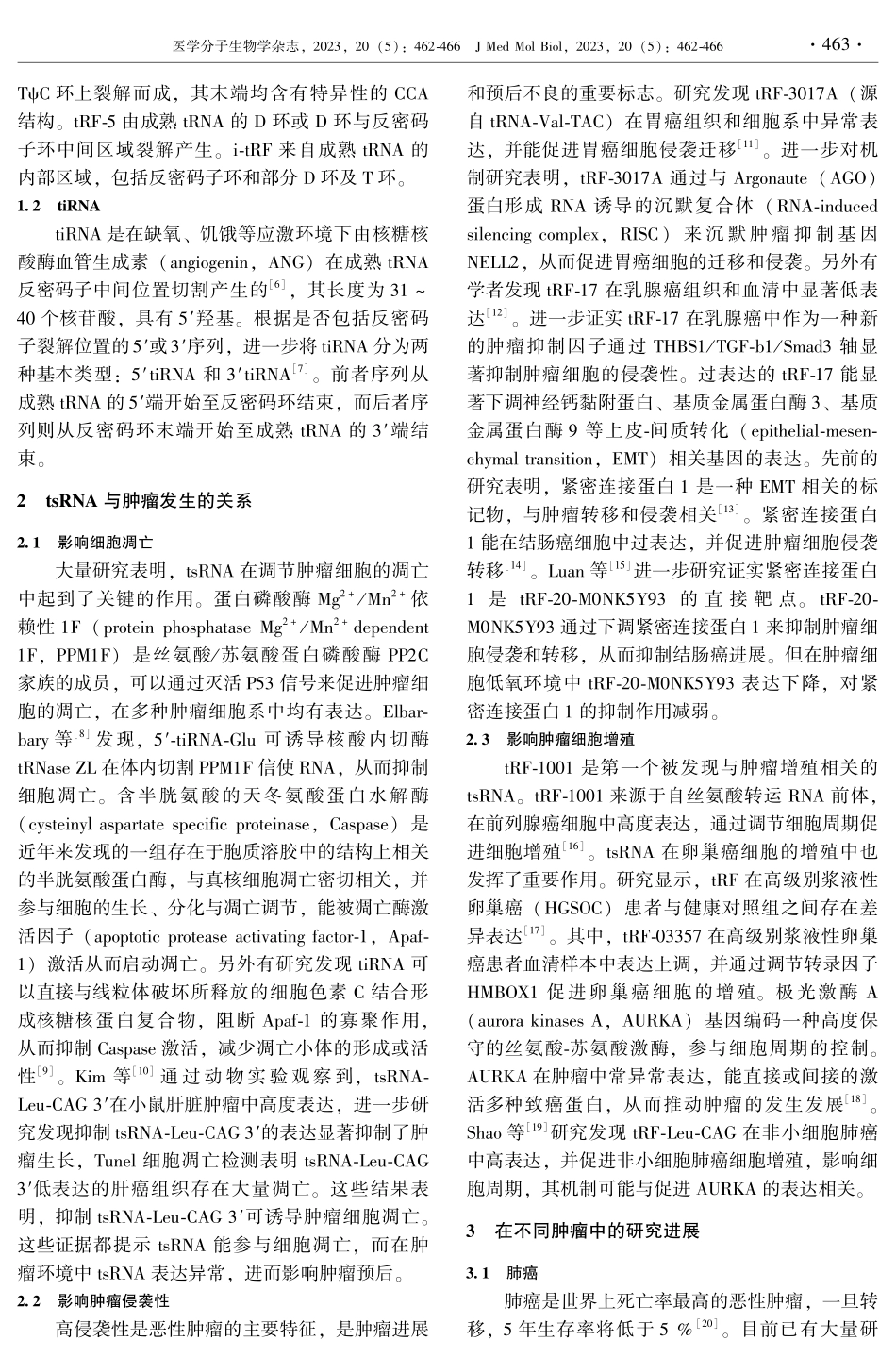 tRNA衍生的小RNA在肿瘤中的研究进展.pdf_第2页
