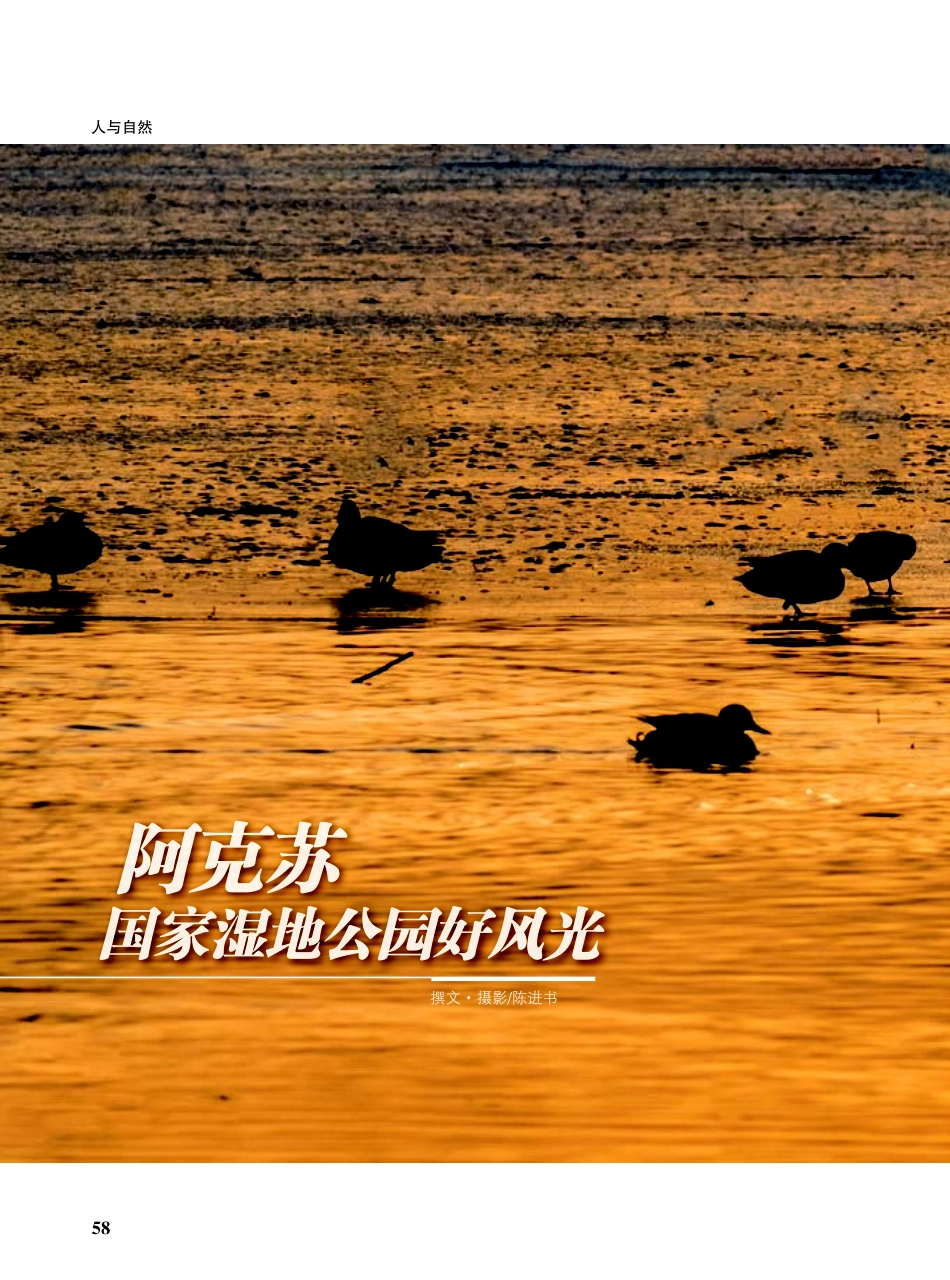 阿克苏 国家湿地公园好风光.pdf_第1页