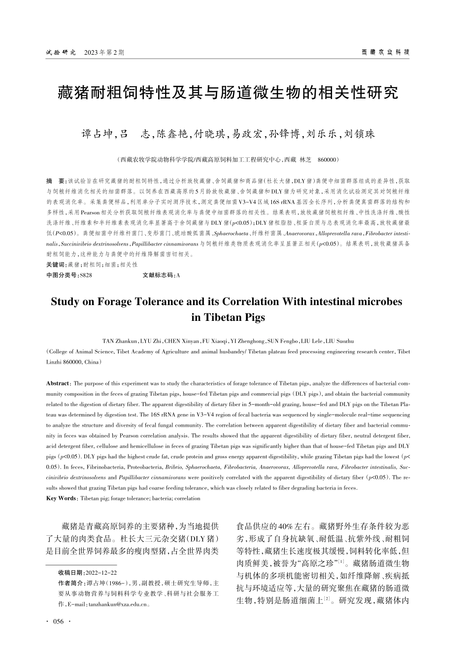 藏猪耐粗饲特性及其与肠道微生物的相关性研究.pdf_第1页