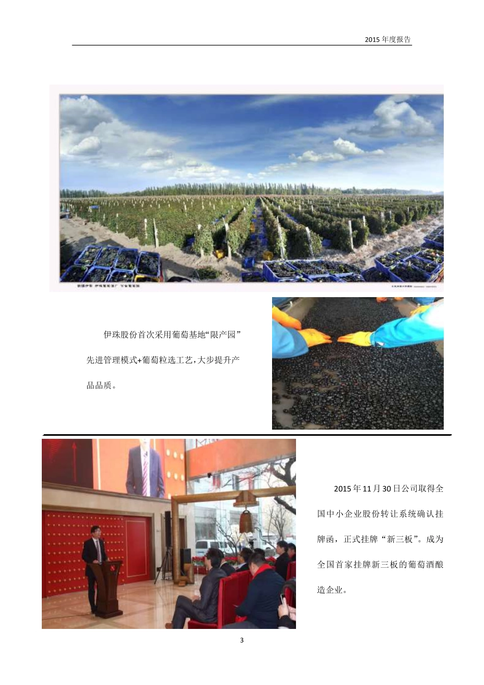 834965_2015_伊珠股份_2015年年度报告_2016-04-28.pdf_第3页