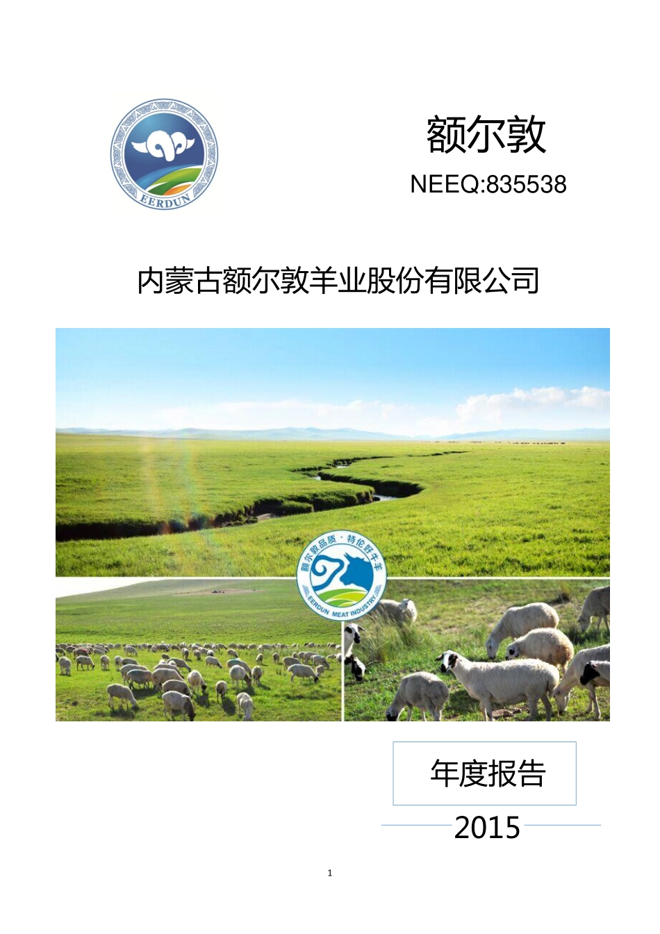 835538_2015_额尔敦_2015年年度报告_2016-04-17.pdf_第1页