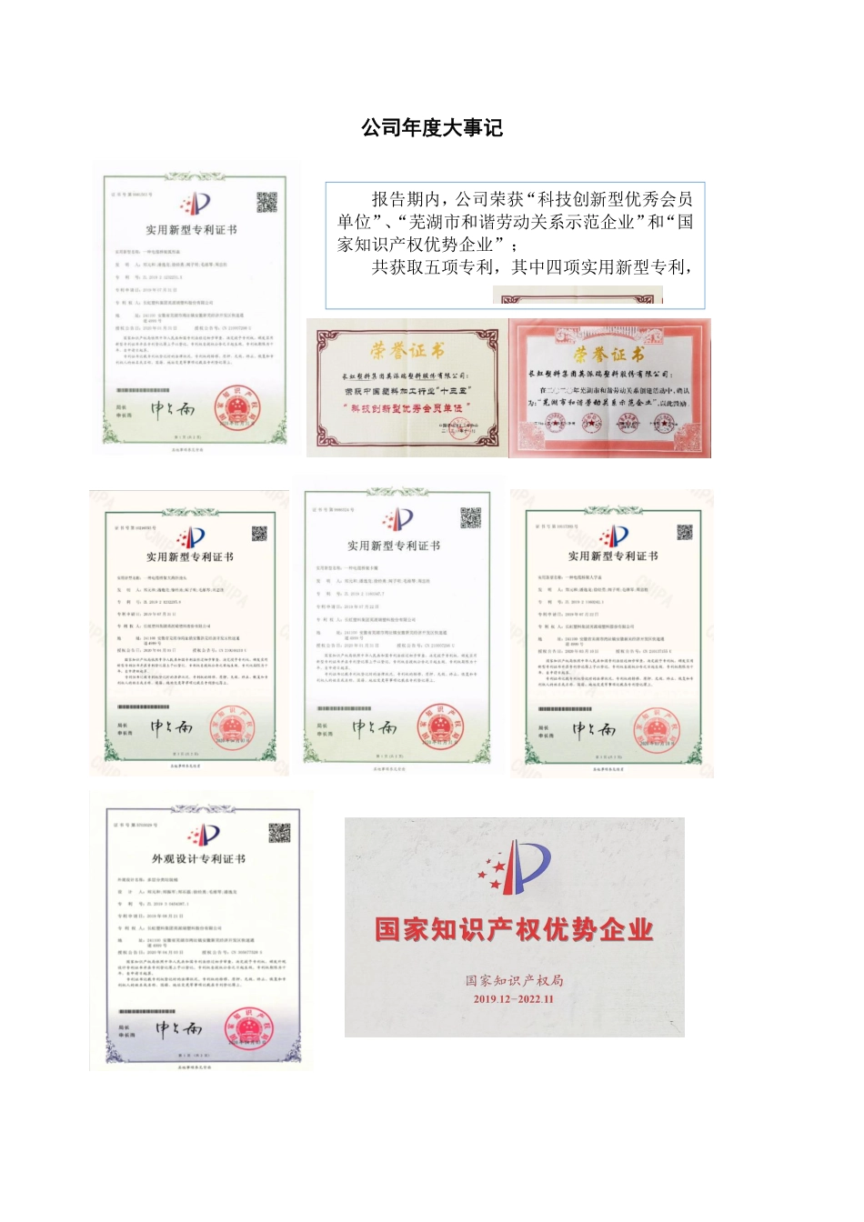 430555_2020_英派瑞_2020年年度报告_2022-03-06.pdf_第2页