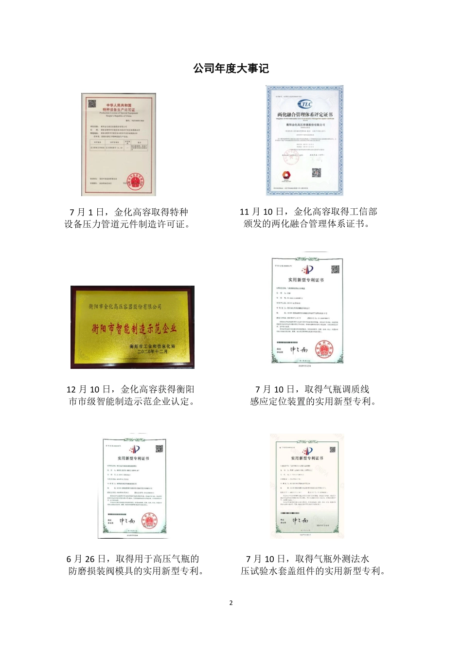 430749_2020_金化高容_2020年年度报告_2021-04-19.pdf_第2页