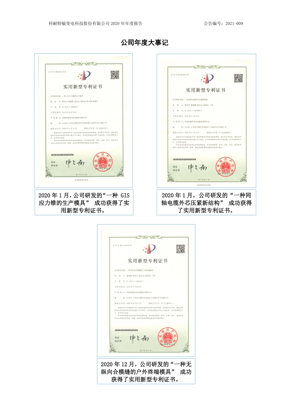 831328_2020_科耐特_2020年年度报告_2021-03-29.pdf_第2页