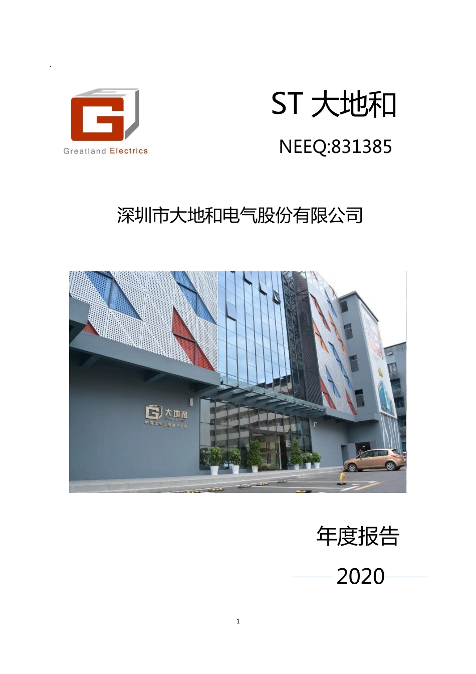 831385_2020_ST大地和_2020年年度报告_2021-03-25.pdf_第1页