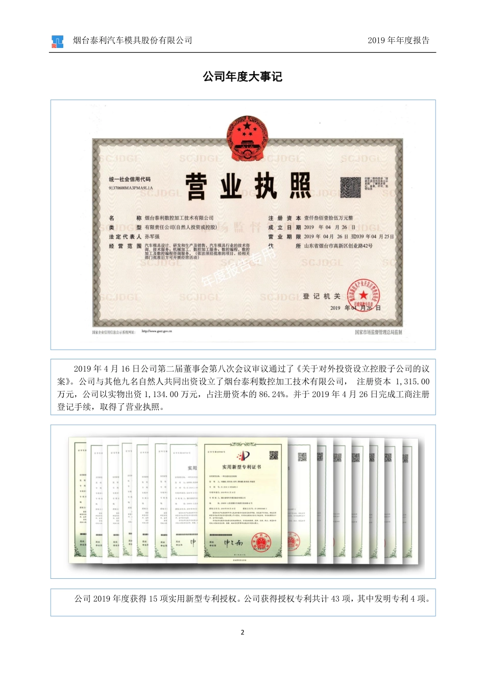 832078_2019_泰利模具_2019年年度报告_2020-04-15.pdf_第2页