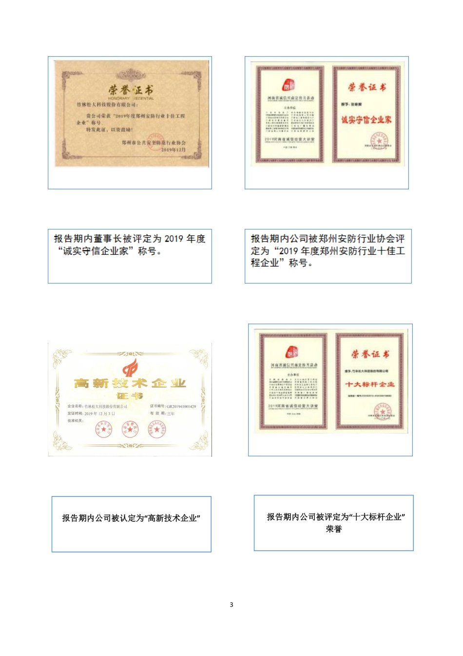 832667_2019_竹林松大_2019年年度度报告_2020-04-27.pdf_第3页