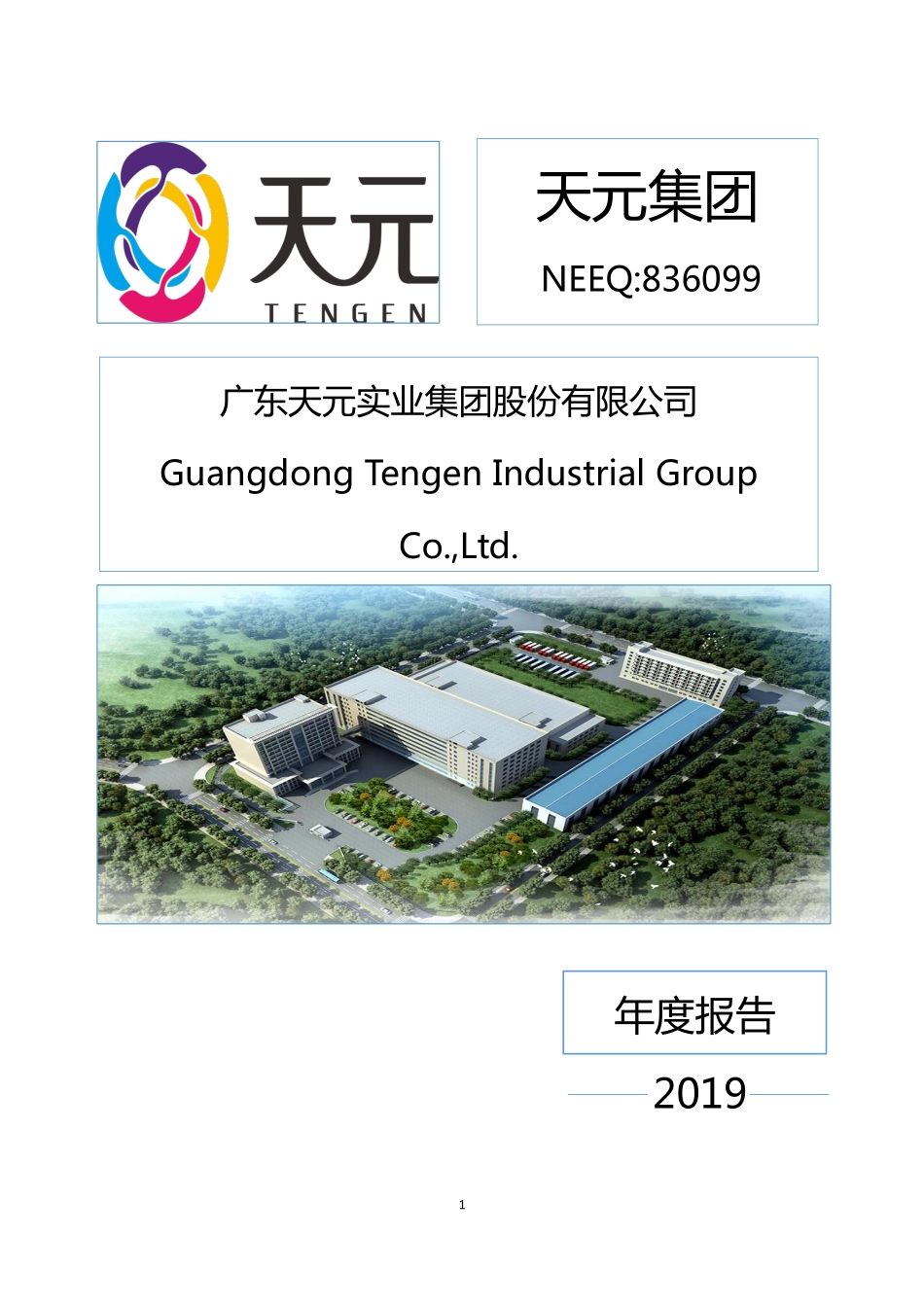 836099_2019_天元集团_2019年年度报告_2020-03-12.pdf_第1页