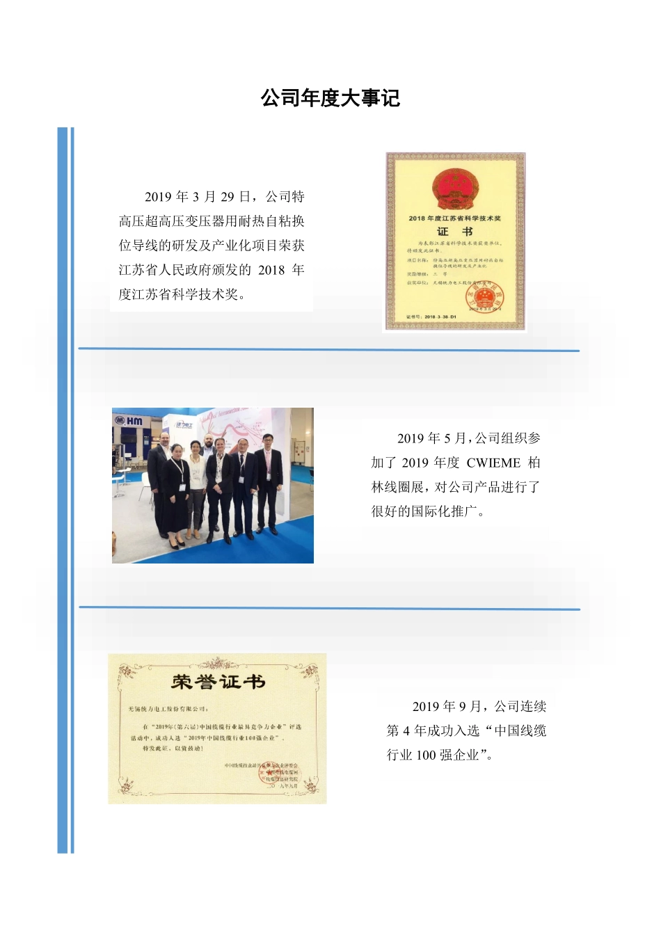 870378_2019_统力电工_2019年年度报告_2020-04-07.pdf_第2页