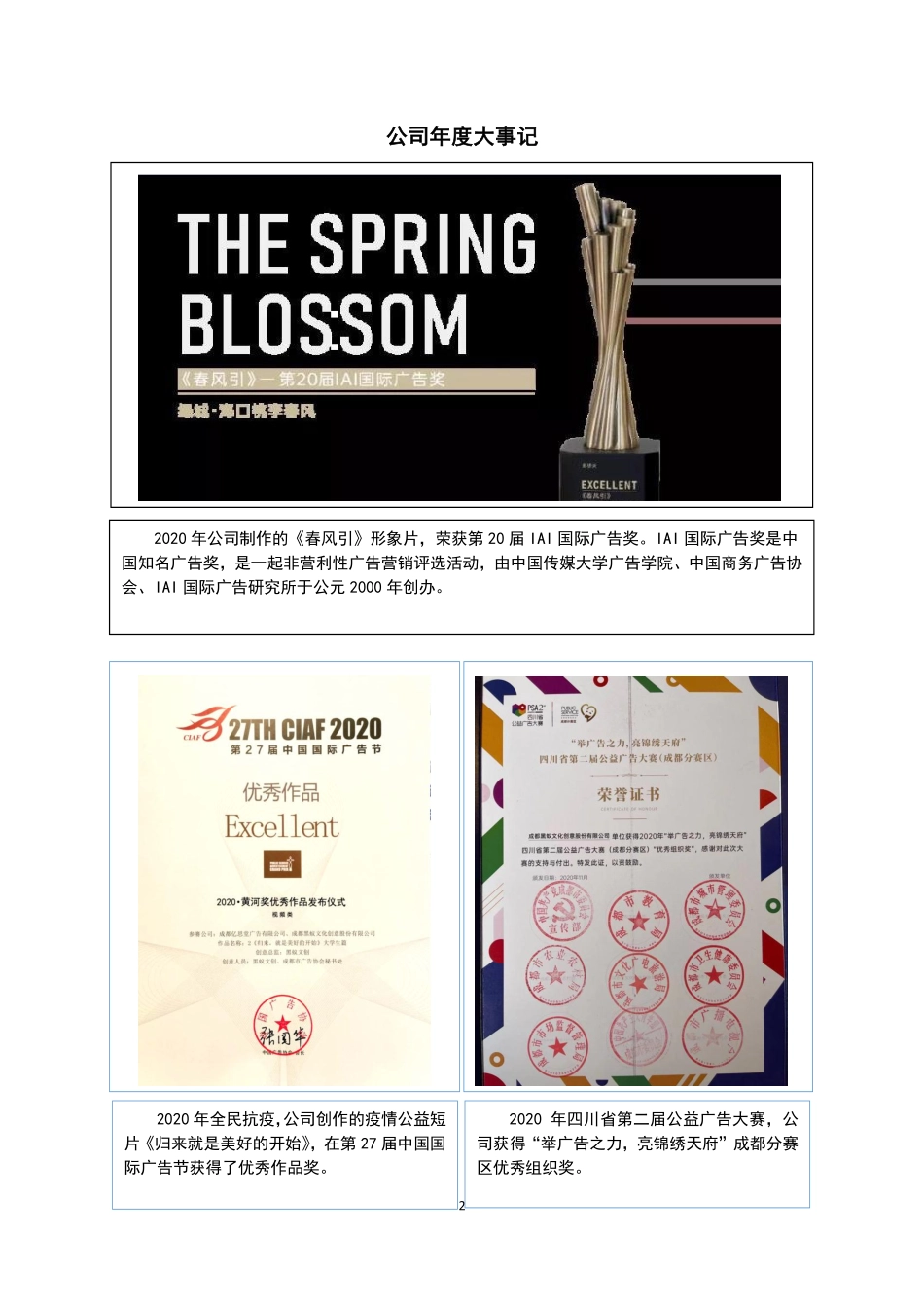 871881_2020_黑蚁文创_2020年年度报告_2021-04-22.pdf_第2页