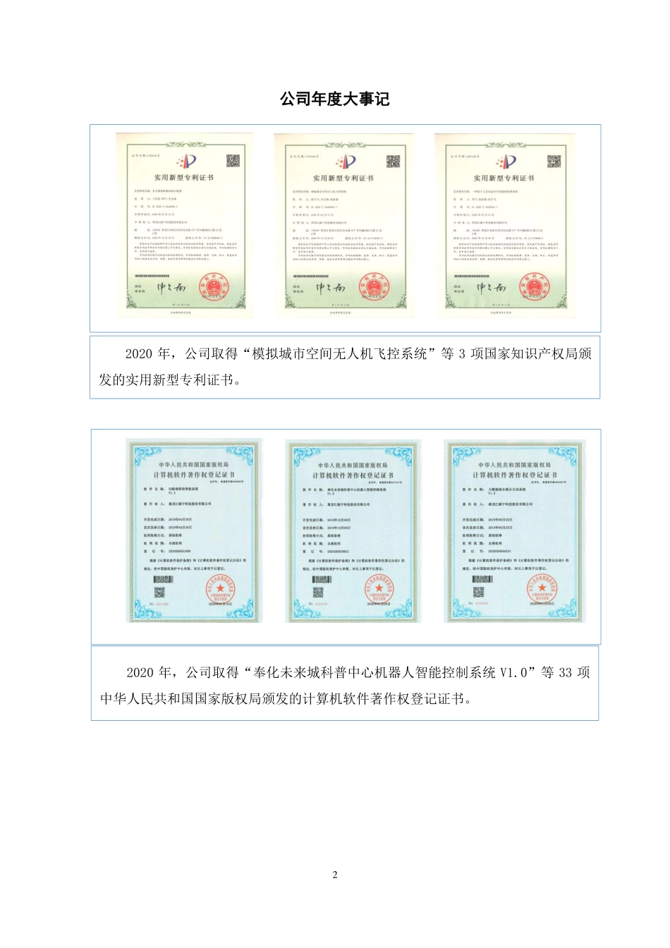 870783_2020_振宁科技_2020年年度报告_2021-04-28.pdf_第2页