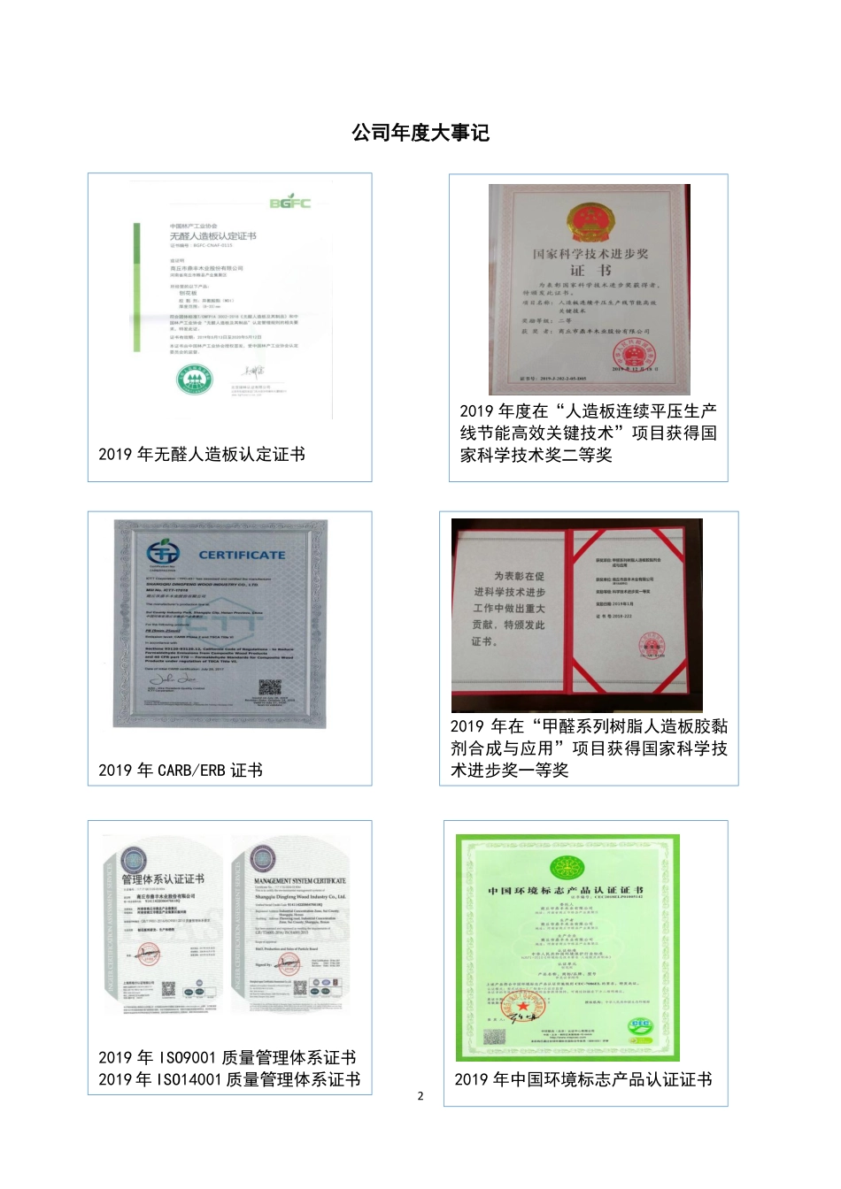 873459_2019_鼎丰股份_2019年年度报告_2021-06-10.pdf_第2页