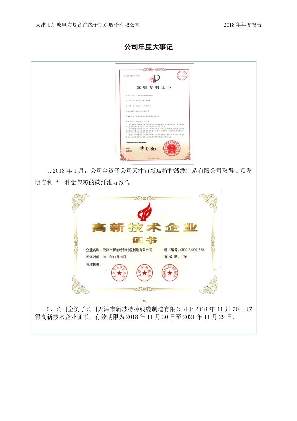 831892_2018_新玻电力_2018年年度报告_2019-04-16.pdf_第2页