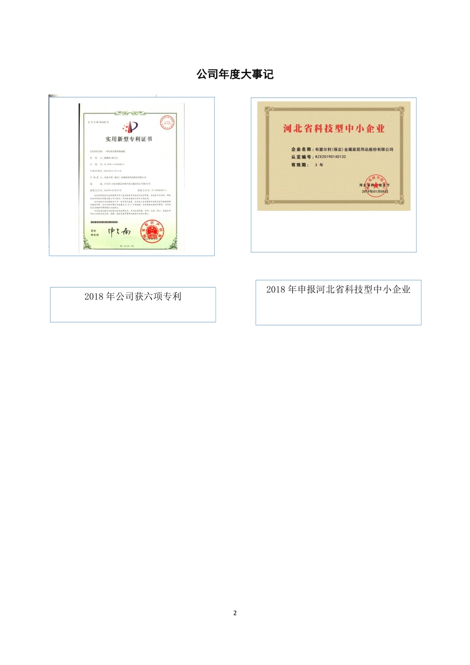 430260_2018_布雷尔利_2018年年度报告_2019-04-22.pdf_第2页