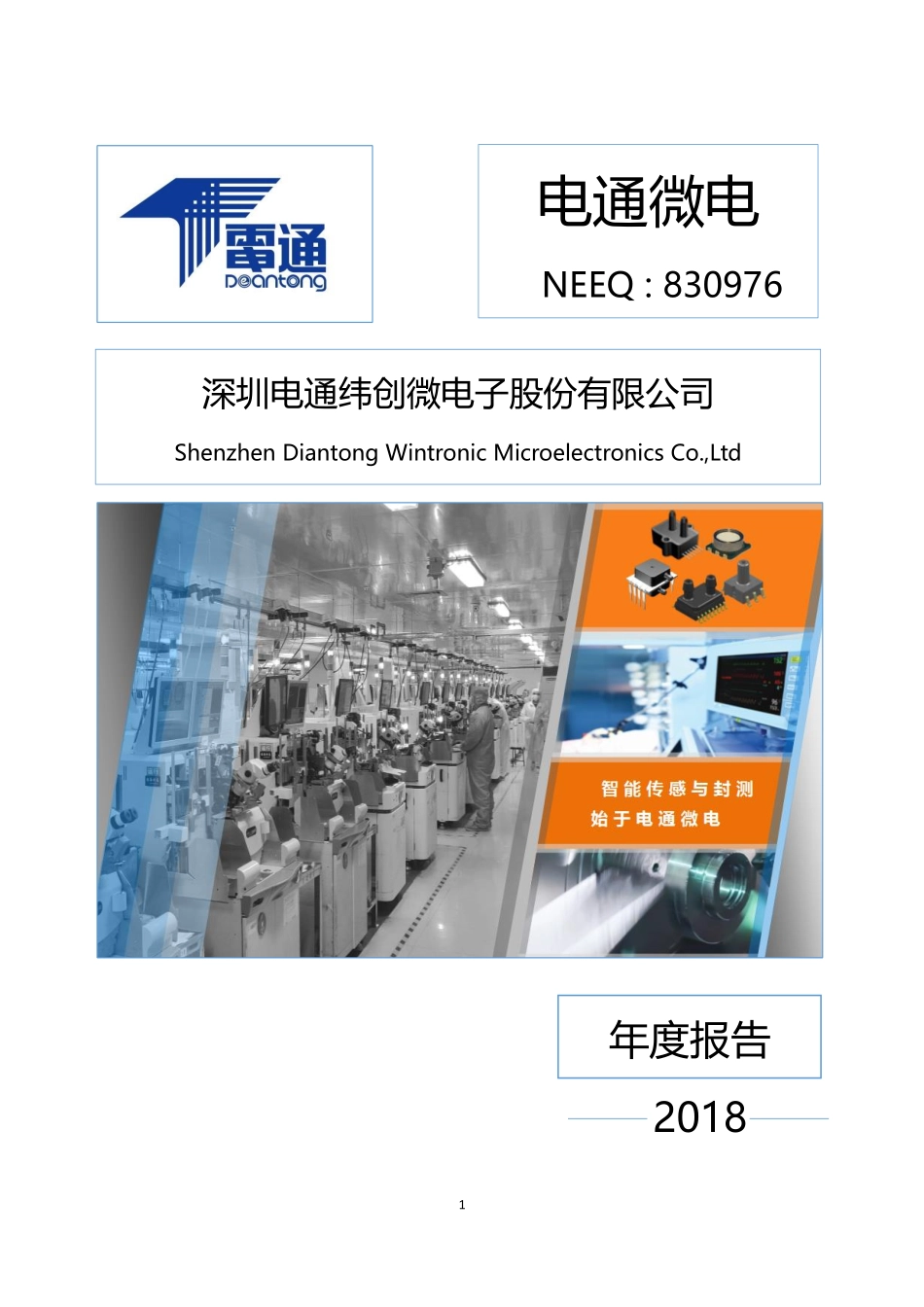 830976_2018_电通微电_2018年年度报告_2019-03-19.pdf_第1页