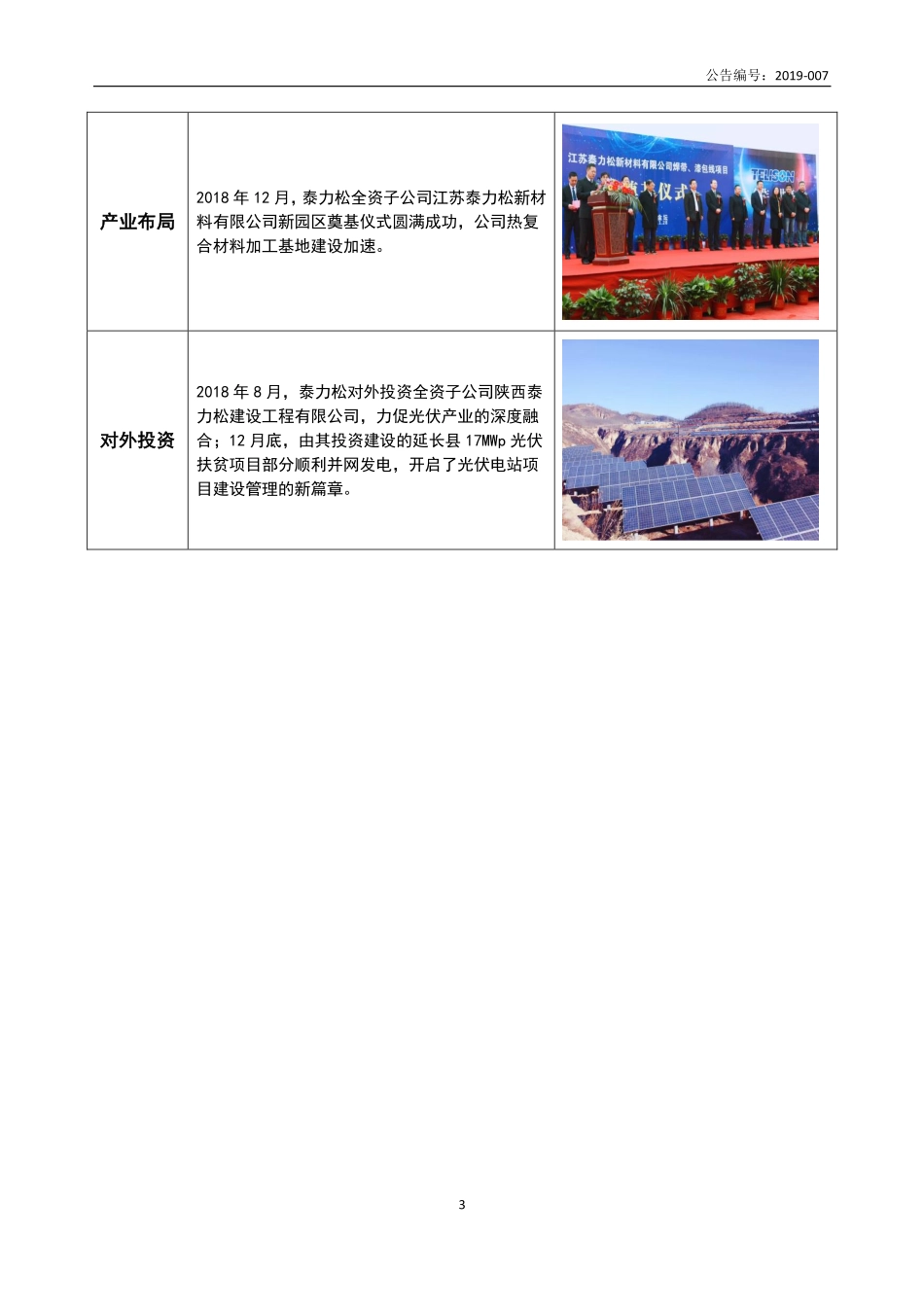 831699_2018_泰力松_2018年年度报告_2019-04-22.pdf_第3页