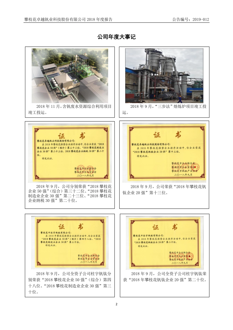 835008_2018_卓越钒业_2018年年度报告_2019-04-01.pdf_第2页