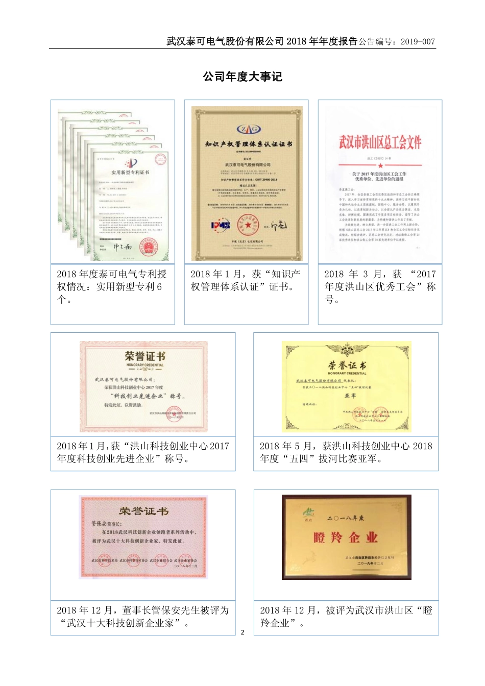 831921_2018_泰可电气_2018年年度报告_2019-04-17.pdf_第2页