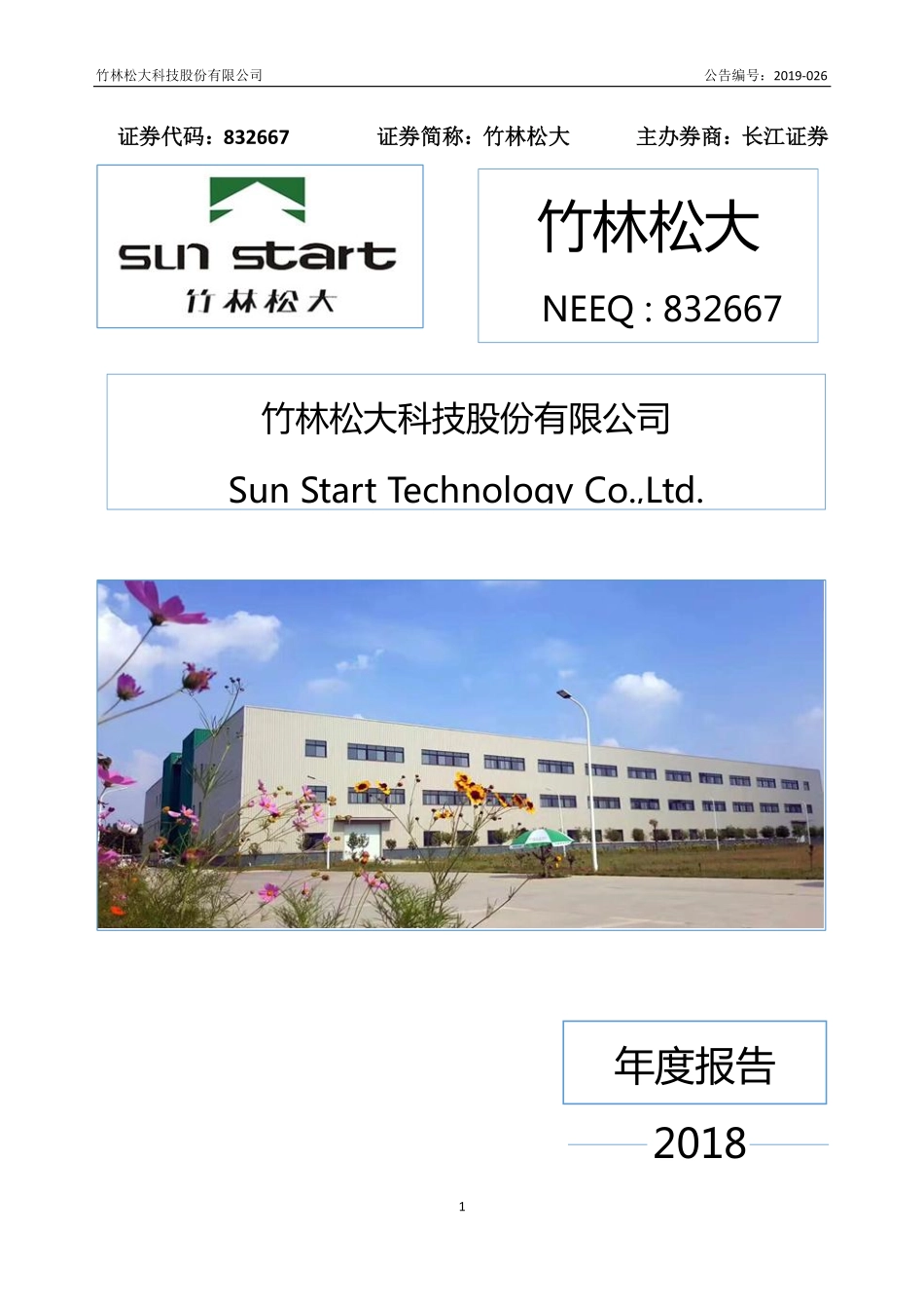 832667_2018_竹林松大_2018年年度报告_2019-04-16.pdf_第1页
