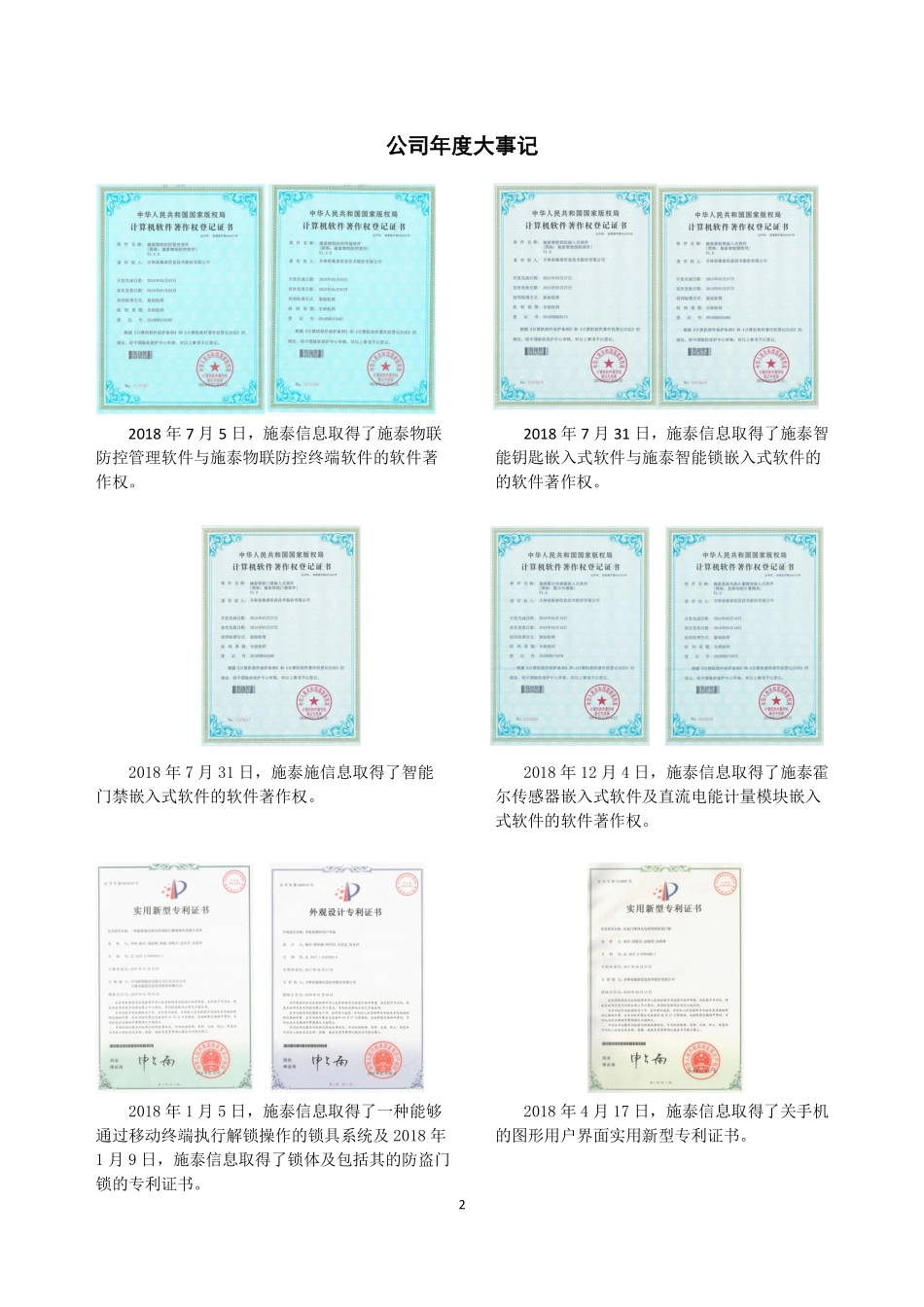 832755_2018_施泰信息_2018年年度报告_2019-04-23.pdf_第2页