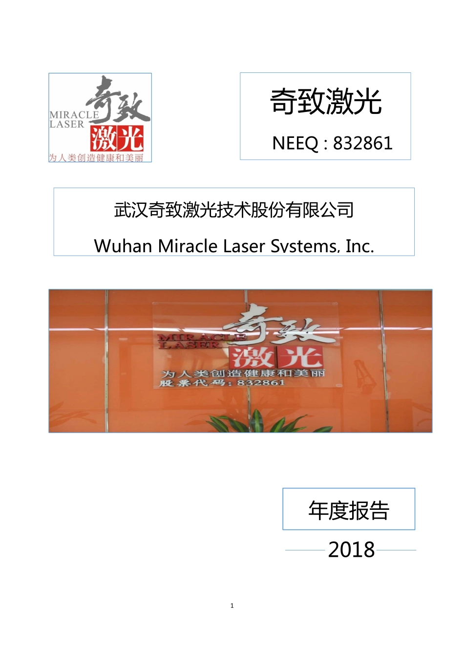 832861_2018_奇致激光_2018年年度报告_2019-04-25.pdf_第1页