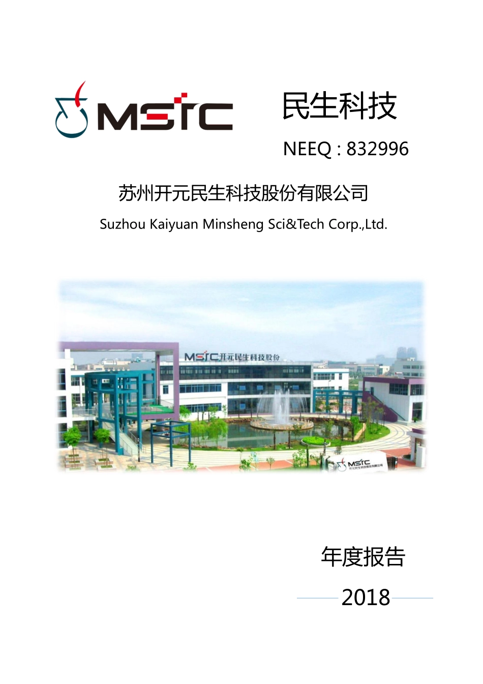 832996_2018_民生科技_2018年年度报告_2019-04-11.pdf_第1页