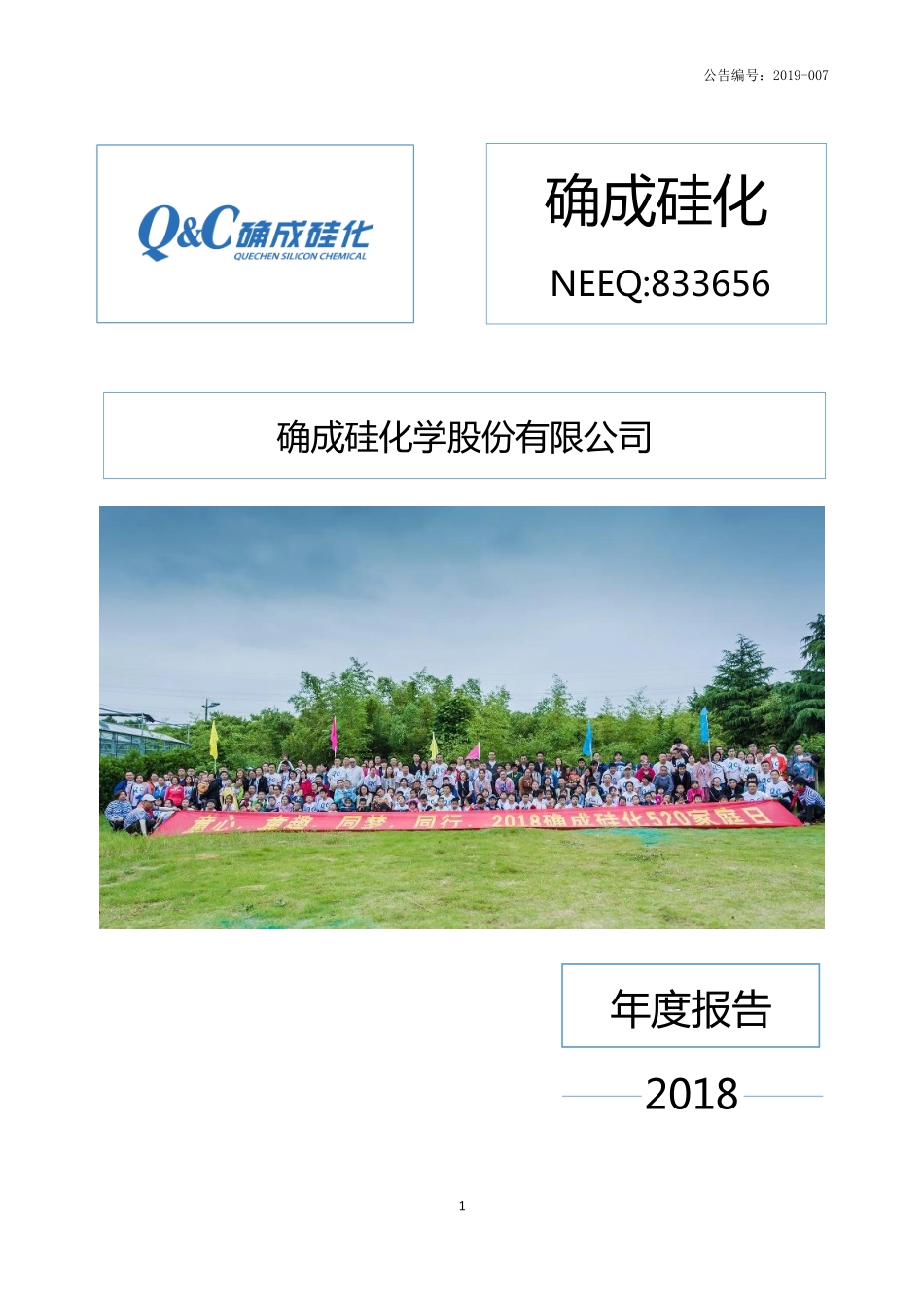 833656_2018_确成硅化_2018年年度报告_2019-03-25.pdf_第1页