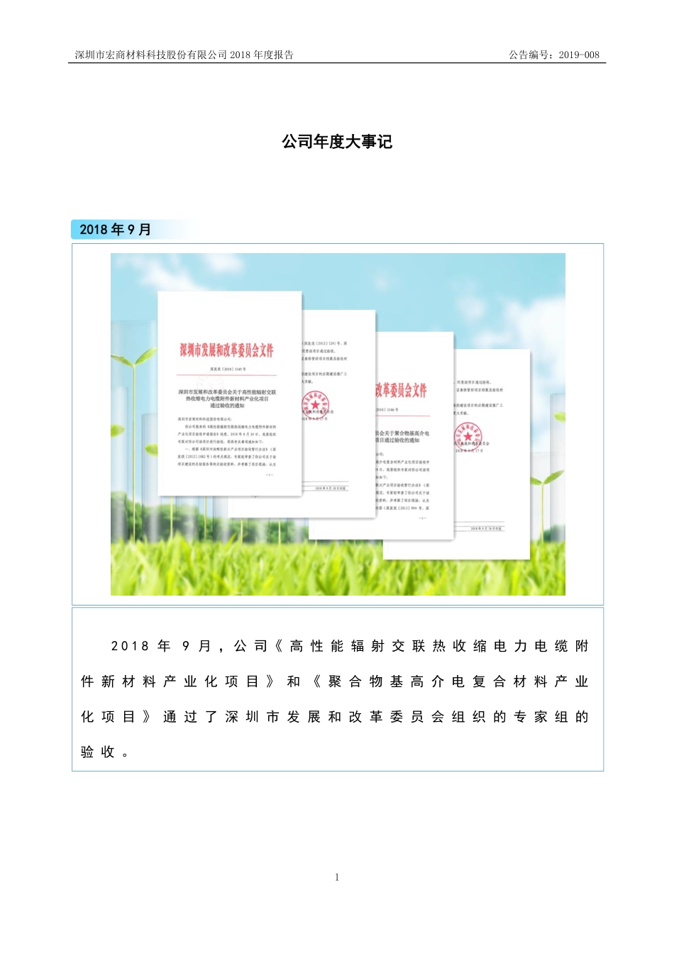 833316_2018_宏商科技_2018年年度报告_2019-04-21.pdf_第2页