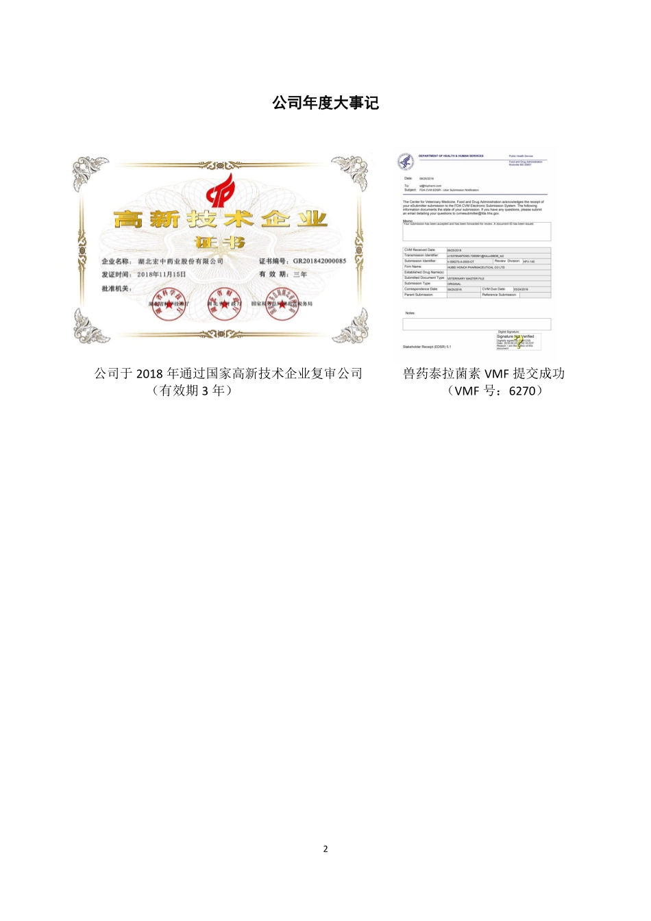 833746_2018_宏中药业_2018年年度报告_2019-04-23.pdf_第2页