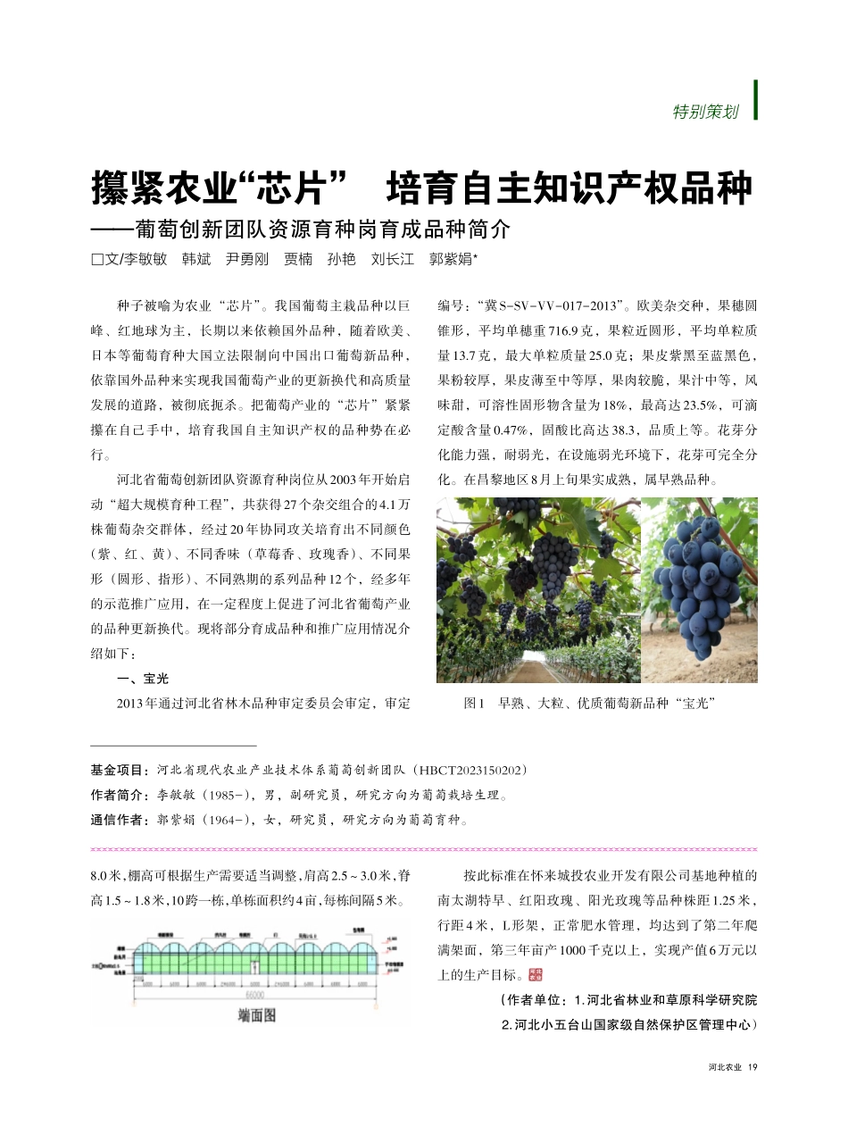 攥紧农业“芯片” 培育自主知识产权品种——葡萄创新团队资源育种岗育成品种简介.pdf_第1页