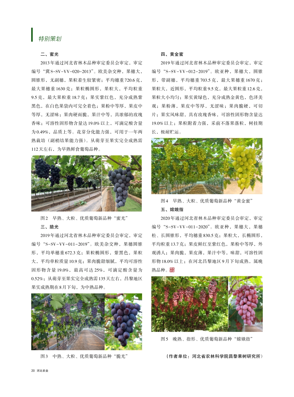 攥紧农业“芯片” 培育自主知识产权品种——葡萄创新团队资源育种岗育成品种简介.pdf_第2页