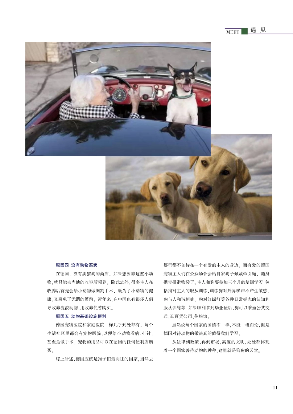 德国%2C一个被誉为“永远不会出现流浪狗”的国家.pdf_第2页