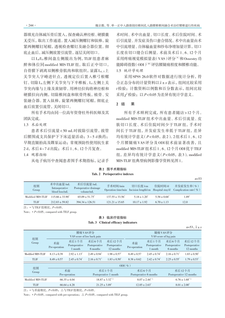 单一正中入路微创经椎间孔入路腰椎椎间融合术治疗腰椎退行性疾病.pdf_第3页