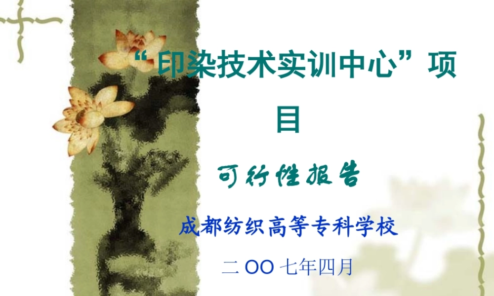 印染技术实训中心”项目可行性报告.ppt