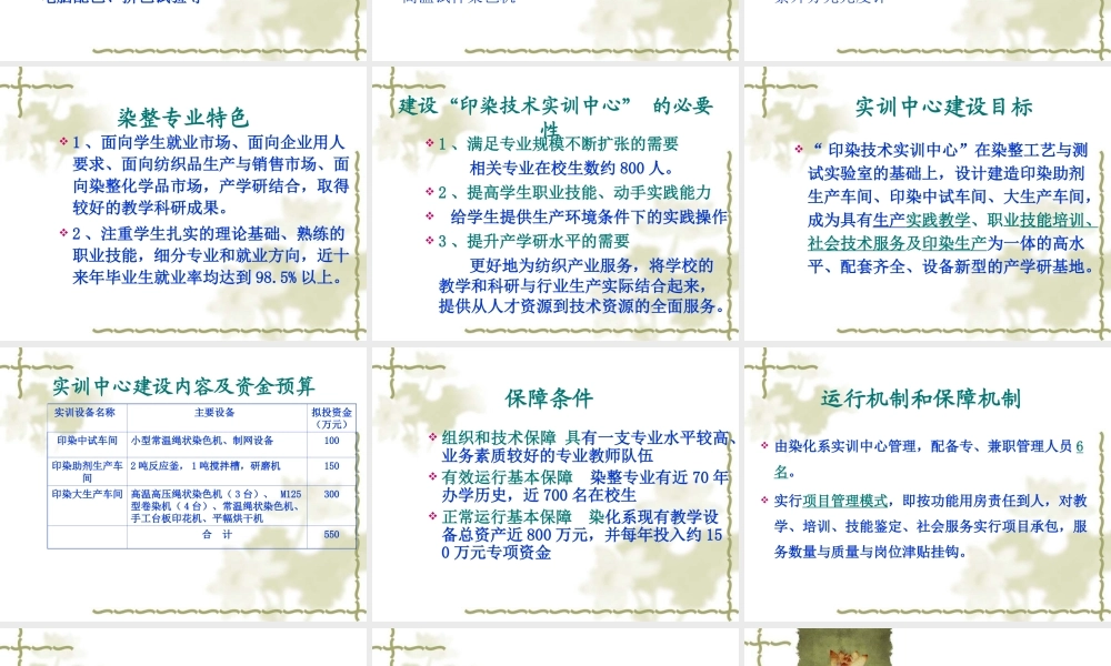 印染技术实训中心”项目可行性报告.ppt