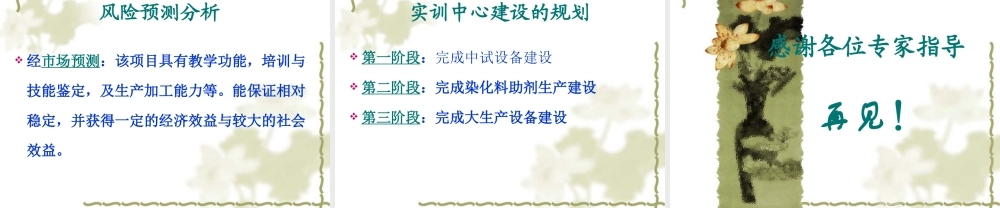 印染技术实训中心”项目可行性报告.ppt