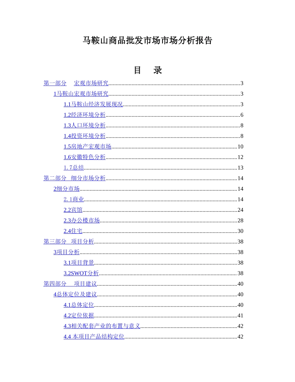 马鞍山商品批发市场市场分析报告.doc_第1页