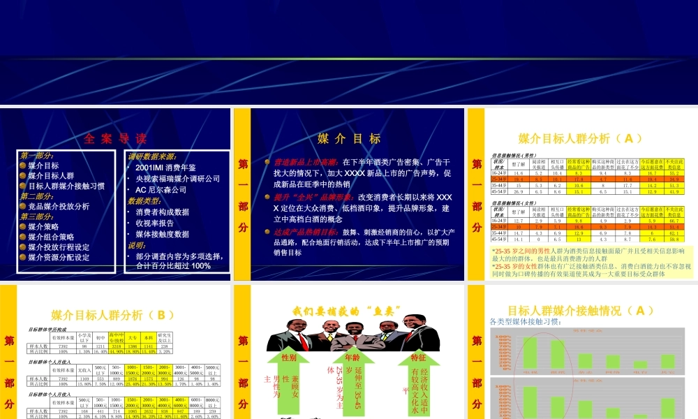 XX上市媒介投放建议案.ppt
