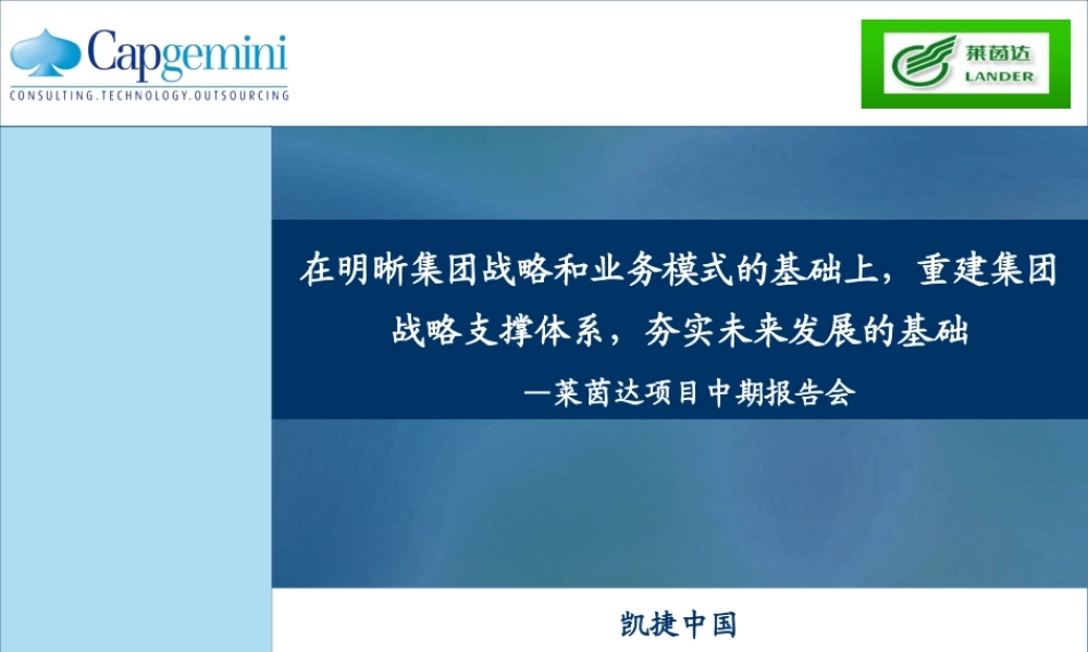 莱茵达集团中期报告.ppt