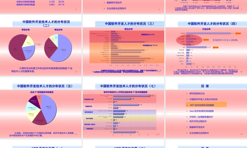 中国软件技术应用现状和趋势分析2006-2007年.ppt