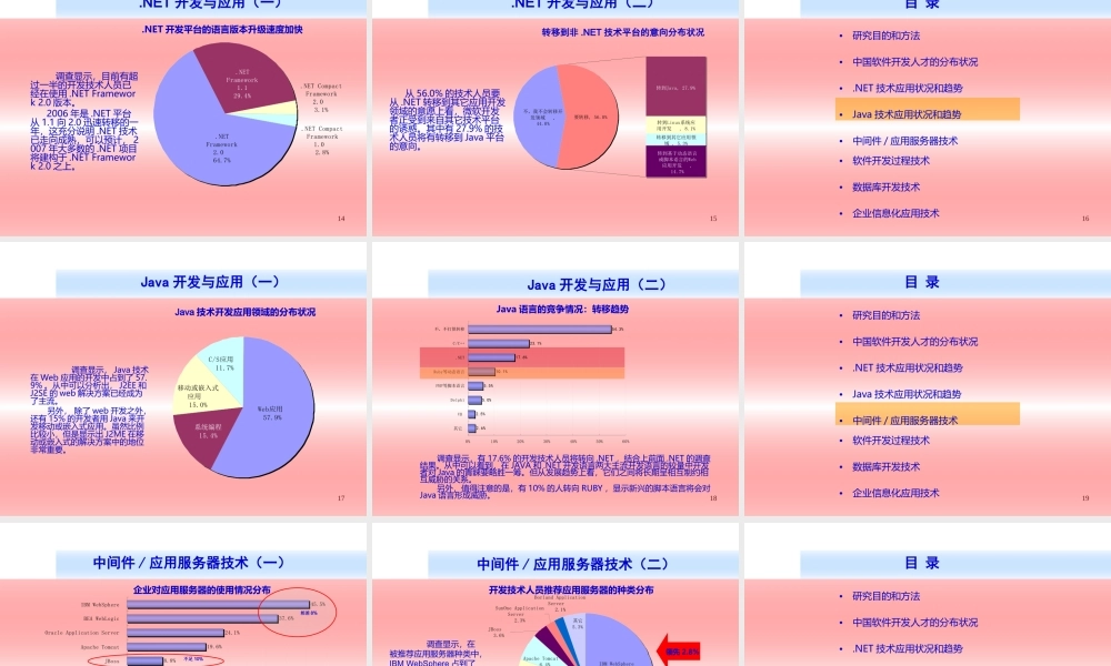 中国软件技术应用现状和趋势分析2006-2007年.ppt
