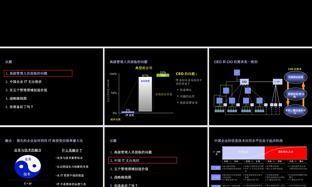 IT商业价值倍增的源泉：业务与技术的融合.ppt